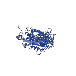 11040_6z1u_B_v1-2
bovine ATP synthase F1c8-peripheral stalk domain, state 3