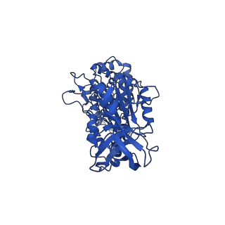 11040_6z1u_C_v1-2
bovine ATP synthase F1c8-peripheral stalk domain, state 3