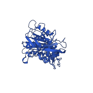 11040_6z1u_D_v1-2
bovine ATP synthase F1c8-peripheral stalk domain, state 3