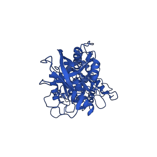 11040_6z1u_E_v1-2
bovine ATP synthase F1c8-peripheral stalk domain, state 3