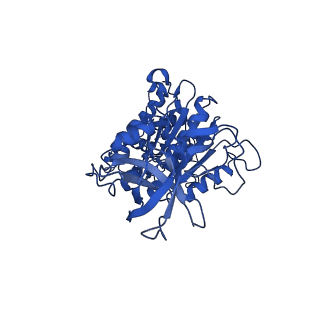 11040_6z1u_F_v1-2
bovine ATP synthase F1c8-peripheral stalk domain, state 3