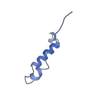 11040_6z1u_I_v1-2
bovine ATP synthase F1c8-peripheral stalk domain, state 3