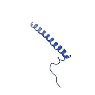 11040_6z1u_J_v1-2
bovine ATP synthase F1c8-peripheral stalk domain, state 3