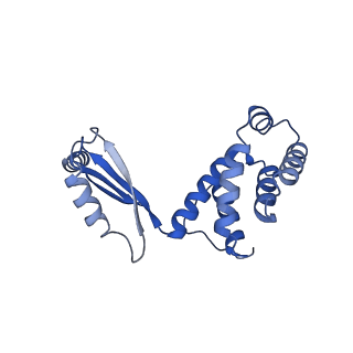 11040_6z1u_S_v1-2
bovine ATP synthase F1c8-peripheral stalk domain, state 3
