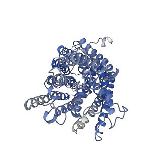 14436_7z10_a_v1-0
Monomeric respiratory complex IV isolated from S. cerevisiae