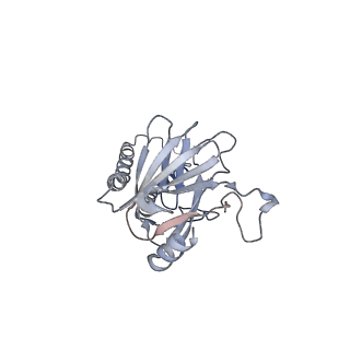 14436_7z10_b_v1-0
Monomeric respiratory complex IV isolated from S. cerevisiae
