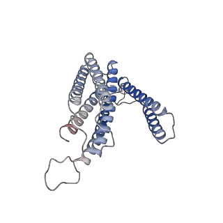 14436_7z10_c_v1-0
Monomeric respiratory complex IV isolated from S. cerevisiae