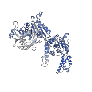 14437_7z11_A_v1-1
Structure of substrate bound DRG1 (AFG2)