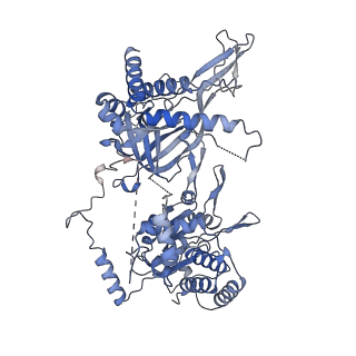 14439_7z13_3_v1-2
S. cerevisiae CMGE dimer nucleating origin DNA melting