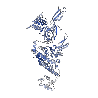 14439_7z13_5_v1-2
S. cerevisiae CMGE dimer nucleating origin DNA melting