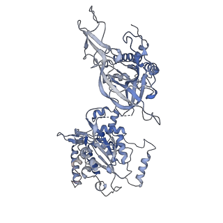 14439_7z13_6_v1-2
S. cerevisiae CMGE dimer nucleating origin DNA melting