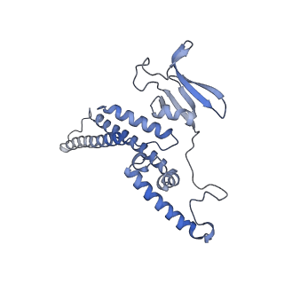 14439_7z13_D_v1-2
S. cerevisiae CMGE dimer nucleating origin DNA melting