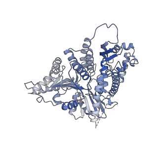 14439_7z13_E_v1-2
S. cerevisiae CMGE dimer nucleating origin DNA melting