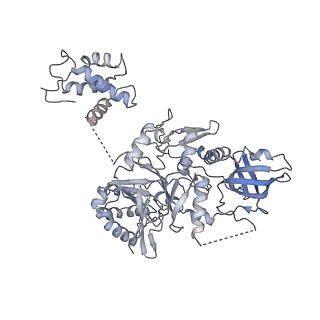 14439_7z13_F_v1-2
S. cerevisiae CMGE dimer nucleating origin DNA melting