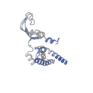 14439_7z13_J_v1-2
S. cerevisiae CMGE dimer nucleating origin DNA melting