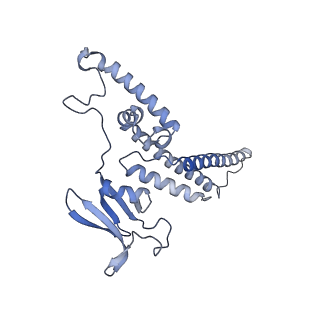 14439_7z13_K_v1-2
S. cerevisiae CMGE dimer nucleating origin DNA melting