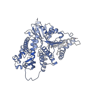 14439_7z13_L_v1-2
S. cerevisiae CMGE dimer nucleating origin DNA melting