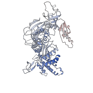 14439_7z13_N_v1-2
S. cerevisiae CMGE dimer nucleating origin DNA melting