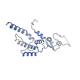 14439_7z13_P_v1-2
S. cerevisiae CMGE dimer nucleating origin DNA melting