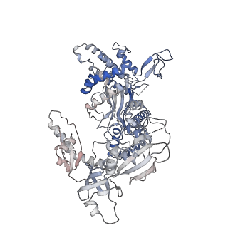 14439_7z13_Q_v1-2
S. cerevisiae CMGE dimer nucleating origin DNA melting