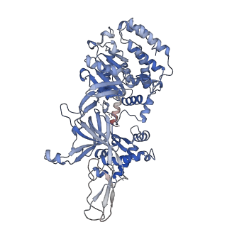 14439_7z13_a_v1-2
S. cerevisiae CMGE dimer nucleating origin DNA melting
