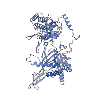 14439_7z13_b_v1-2
S. cerevisiae CMGE dimer nucleating origin DNA melting