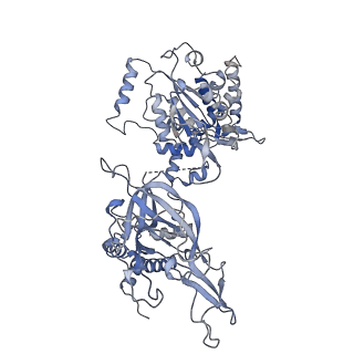 14439_7z13_e_v1-2
S. cerevisiae CMGE dimer nucleating origin DNA melting