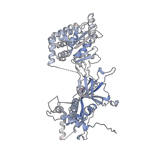 14439_7z13_f_v1-2
S. cerevisiae CMGE dimer nucleating origin DNA melting