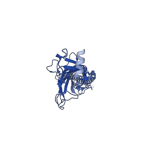 14440_7z14_B_v1-1
Cryo-EM structure of Torpedo nicotinic acetylcholine receptor in complex with a short-chain neurotoxin.