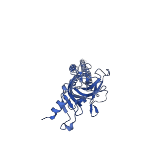 14440_7z14_E_v1-1
Cryo-EM structure of Torpedo nicotinic acetylcholine receptor in complex with a short-chain neurotoxin.