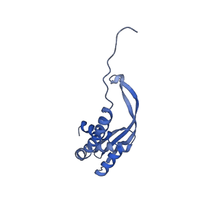 14443_7z17_A_v1-0
E. coli C-P lyase bound to a PhnK ABC dimer in an open conformation