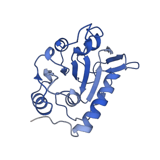 14443_7z17_B_v1-0
E. coli C-P lyase bound to a PhnK ABC dimer in an open conformation