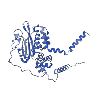 14443_7z17_C_v1-0
E. coli C-P lyase bound to a PhnK ABC dimer in an open conformation