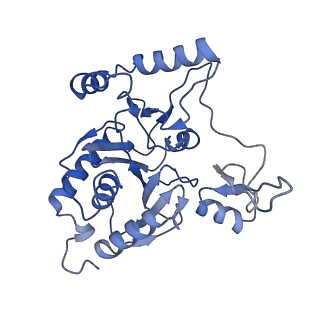 14443_7z17_D_v1-0
E. coli C-P lyase bound to a PhnK ABC dimer in an open conformation