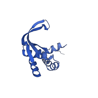 14443_7z17_E_v1-0
E. coli C-P lyase bound to a PhnK ABC dimer in an open conformation