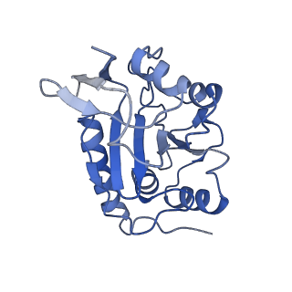14443_7z17_F_v1-0
E. coli C-P lyase bound to a PhnK ABC dimer in an open conformation
