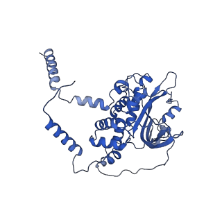 14443_7z17_G_v1-0
E. coli C-P lyase bound to a PhnK ABC dimer in an open conformation
