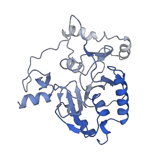14443_7z17_H_v1-0
E. coli C-P lyase bound to a PhnK ABC dimer in an open conformation