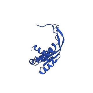 14445_7z19_A_v1-2
E. coli C-P lyase bound to a single PhnK ABC domain