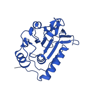 14445_7z19_B_v1-2
E. coli C-P lyase bound to a single PhnK ABC domain