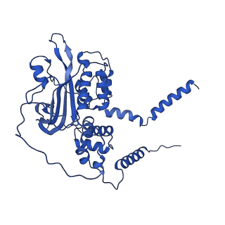 14445_7z19_C_v1-2
E. coli C-P lyase bound to a single PhnK ABC domain