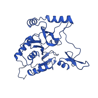 14445_7z19_D_v1-2
E. coli C-P lyase bound to a single PhnK ABC domain