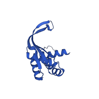 14445_7z19_E_v1-2
E. coli C-P lyase bound to a single PhnK ABC domain
