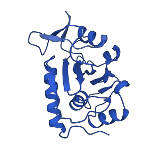 14445_7z19_F_v1-2
E. coli C-P lyase bound to a single PhnK ABC domain
