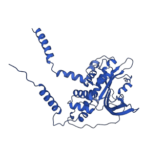 14445_7z19_G_v1-2
E. coli C-P lyase bound to a single PhnK ABC domain