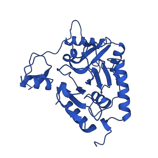 14445_7z19_H_v1-2
E. coli C-P lyase bound to a single PhnK ABC domain