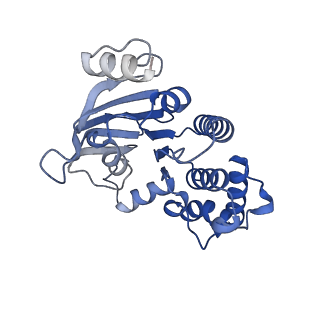 14445_7z19_I_v1-2
E. coli C-P lyase bound to a single PhnK ABC domain