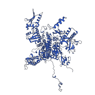 14447_7z1l_A_v1-1
Structure of yeast RNA Polymerase III Pre-Termination Complex (PTC)