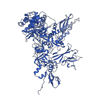 14447_7z1l_B_v1-1
Structure of yeast RNA Polymerase III Pre-Termination Complex (PTC)