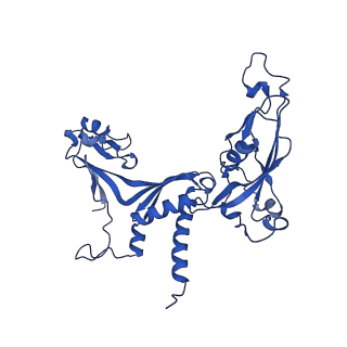 14447_7z1l_C_v1-1
Structure of yeast RNA Polymerase III Pre-Termination Complex (PTC)